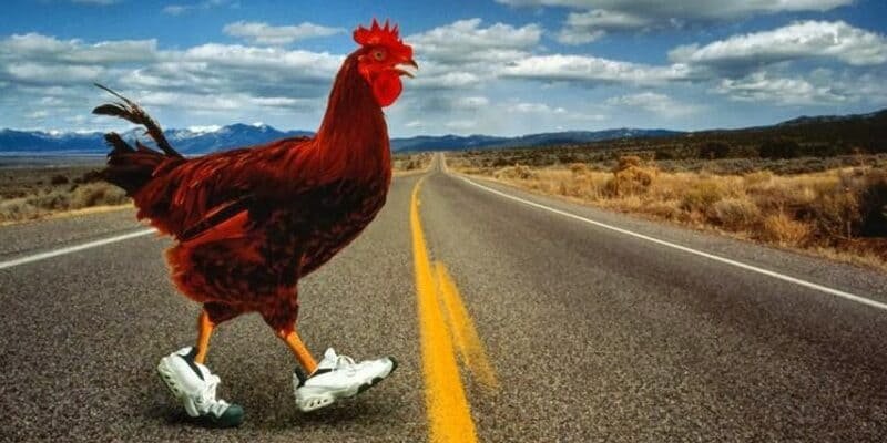 Descubre el Exclusivo Juego de Casino Chicken Road en España - overview
